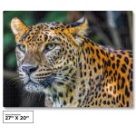 1000 Piece Leopard Jigsaw Puzzle (Puzzle Saver Kit Included)