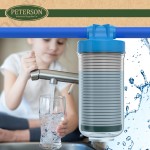 Peterson House Water Filter Replacement 2 Pack